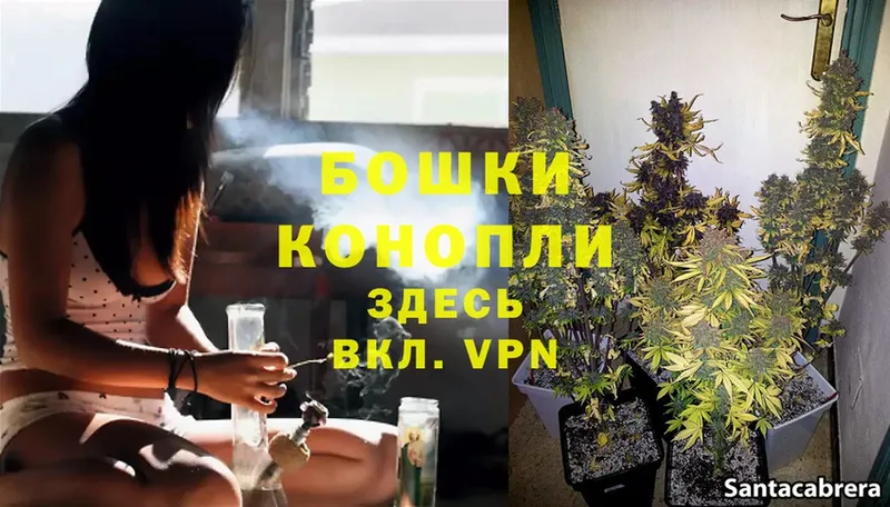 Конопля LSD WEED  купить  цена  Краснознаменск 